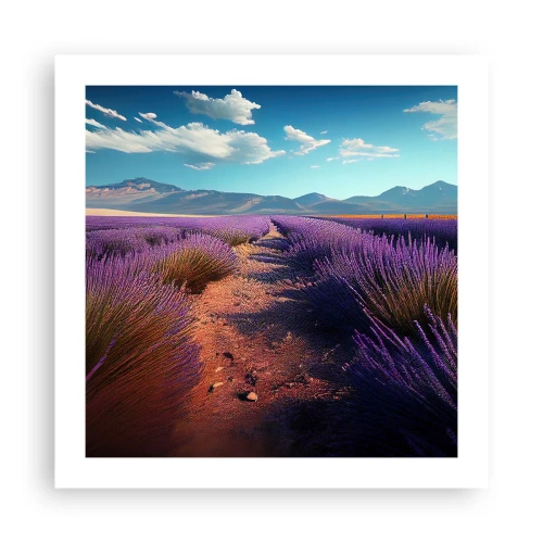 Plakat - Pachnące pola - 50x50 cm