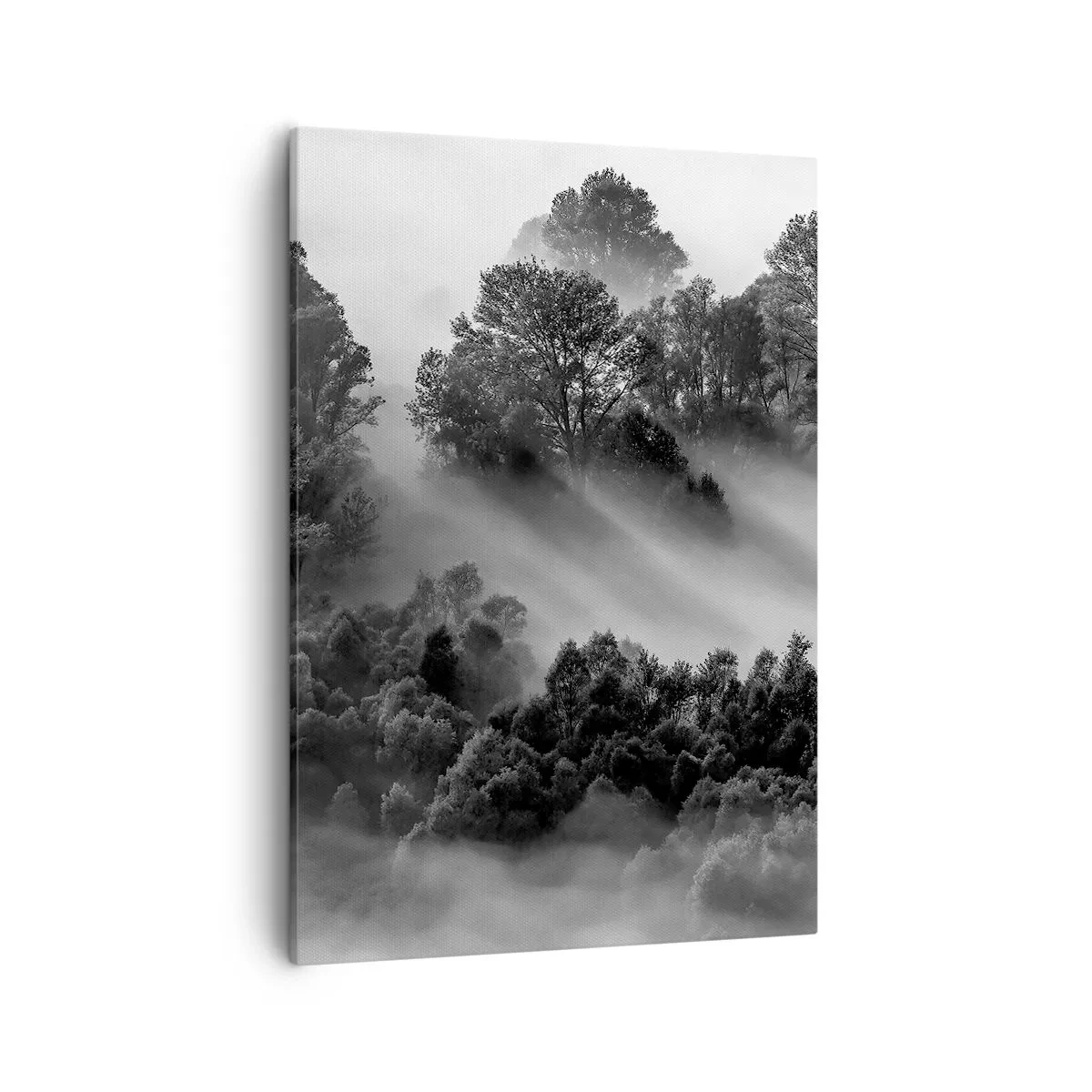 Obraz na płótnie - Czarno-biały las spowity poranną mgłą - 50x70cm - Wstający ze snu - Nowoczesna dekoracja ścienna do salonu, kuchni i sypialni ARTTOR
