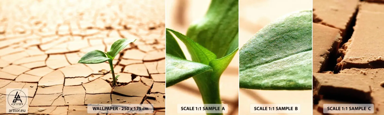 Fototapeta Próbka Samoprzylepna Deluxe Sticker - Nieposkromiona siła życia - Natura, Roślina, Susza - 100x30 cm