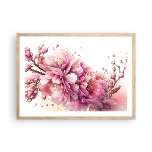 Plakat w ramie jasny dąb - Kwiat kwitnącej wiśni - 70x50 cm