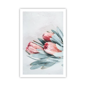 Plakat - Zawstydzone własną urodą - 61x91 cm