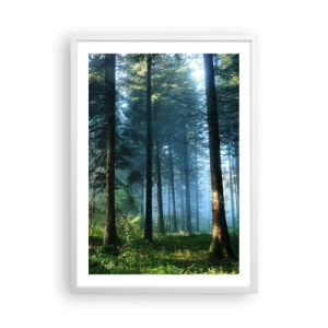 Plakat w białej ramie - Rozpromieniony o poranku - 50x70 cm