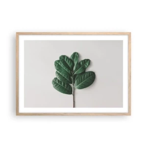 Plakat w ramie jasny dąb - Rysunek samej natury - 70x50 cm
