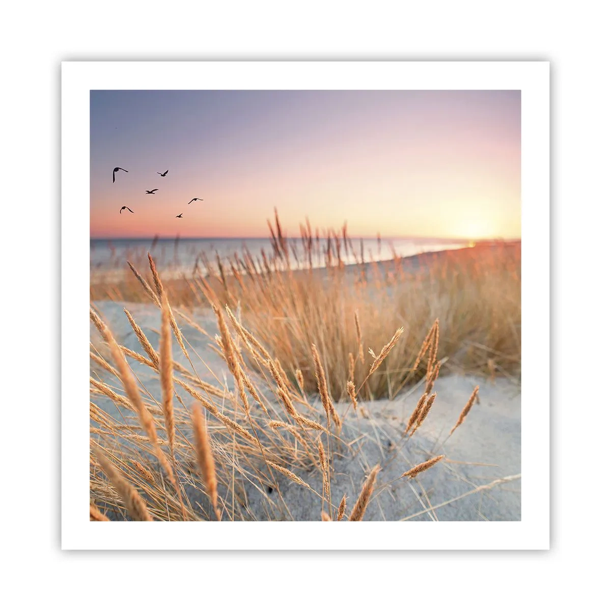 Plakat - Bałtycka kołysanka - 60x60 cm