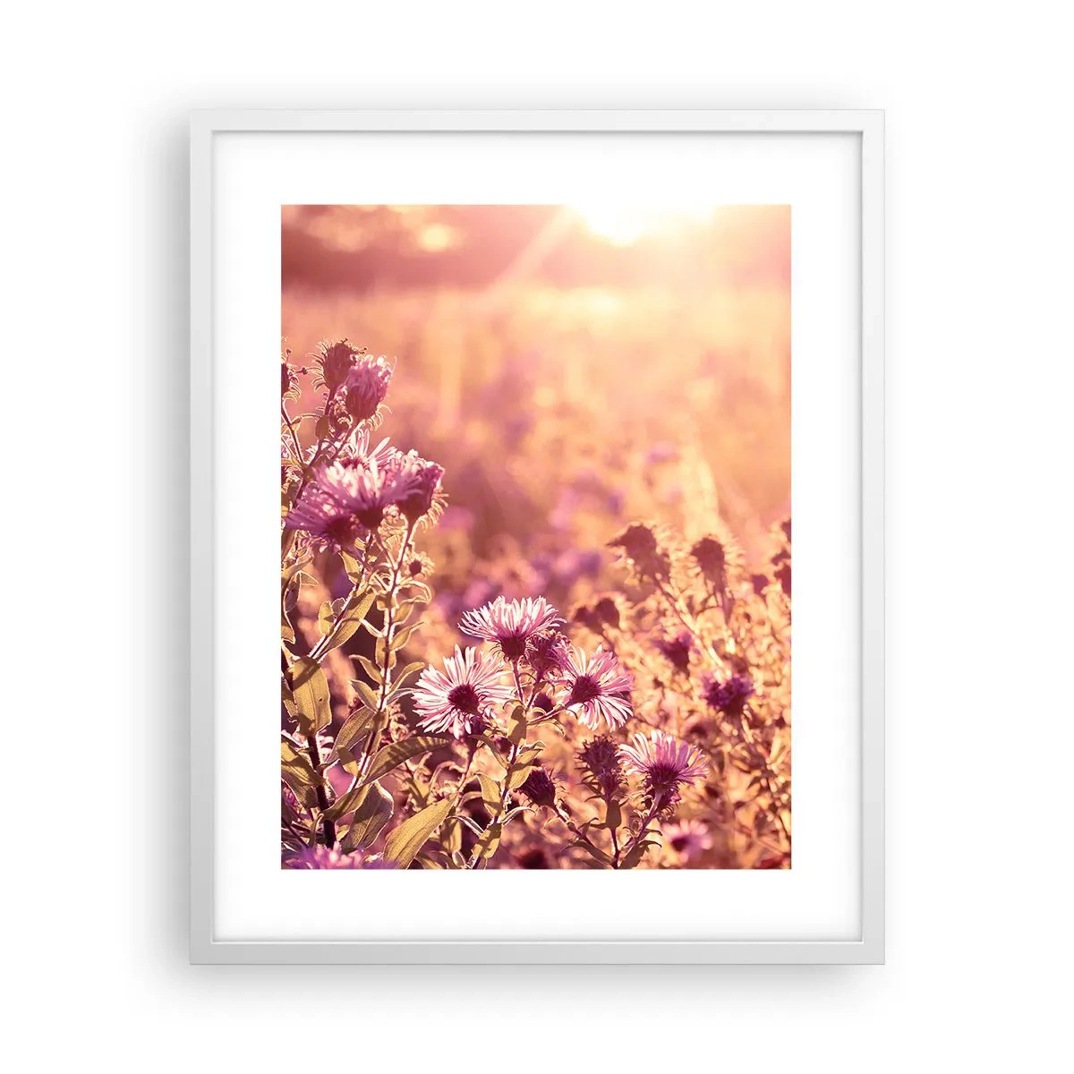 Plakat w białej ramie - Przed odejściem lata - 40x50 cm