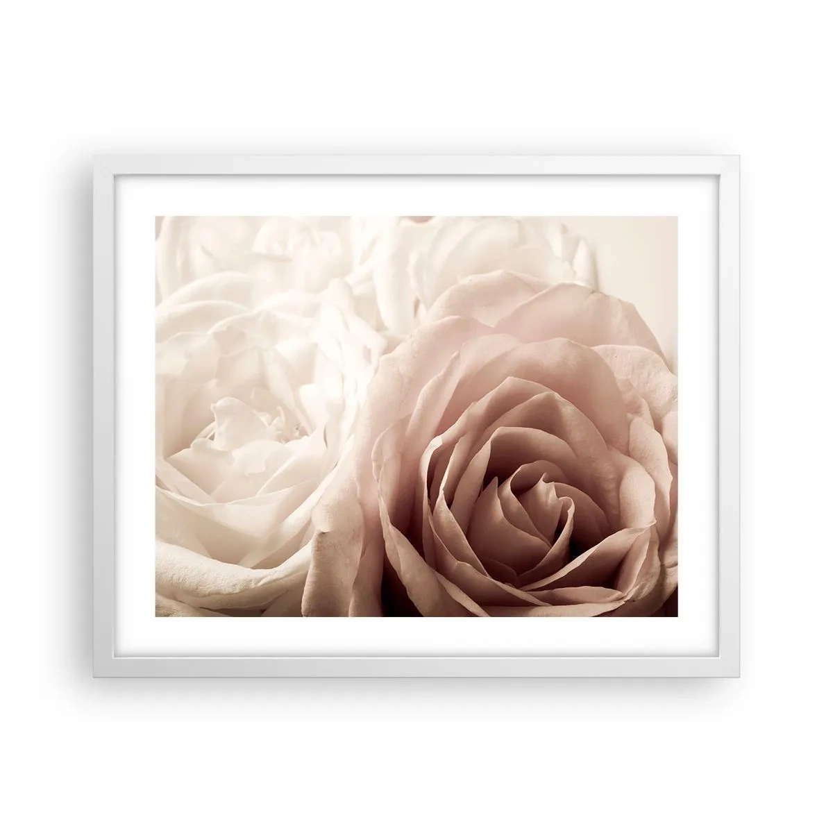 Plakat w białej ramie - W sercu róży - 50x40 cm
