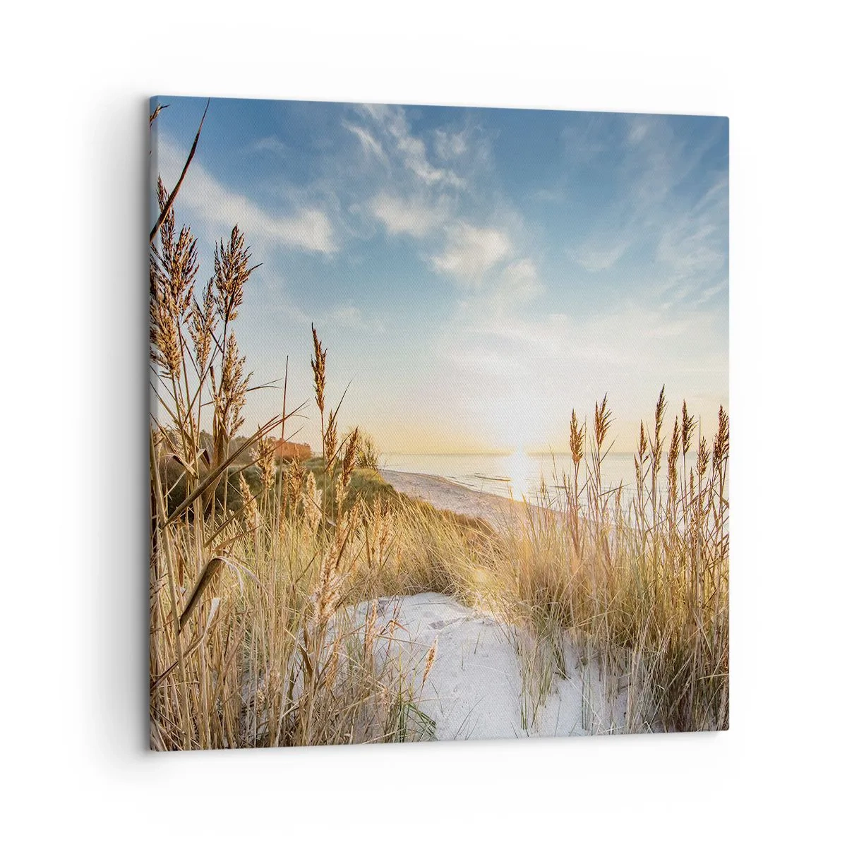 Obraz na płótnie - Północna plaża - 50x50 cm