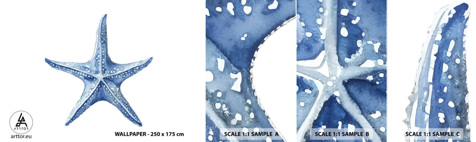 Fototapeta Próbka Standard Eco - Gwiazda morza - Rozgwiazda, Nadmorski, Rafa Koralowa - 100x30 cm