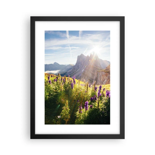 Plakat w czarnej ramie - Sekretne życie ziół - 30x40 cm