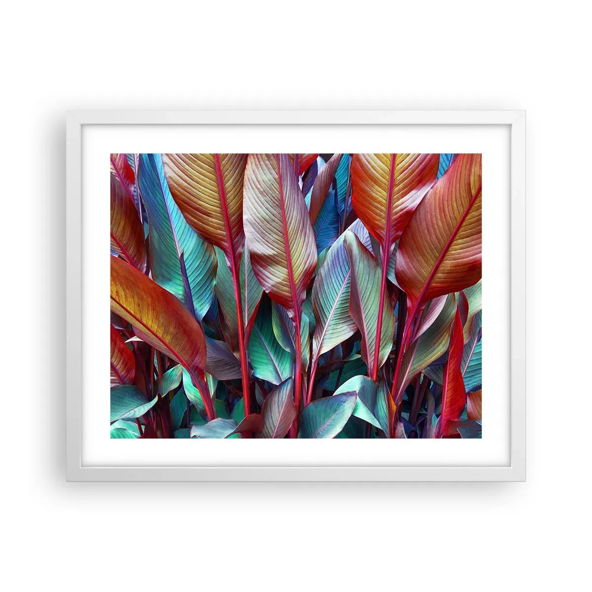 Plakat w białej ramie - Kolorowy gąszcz - 50x40 cm