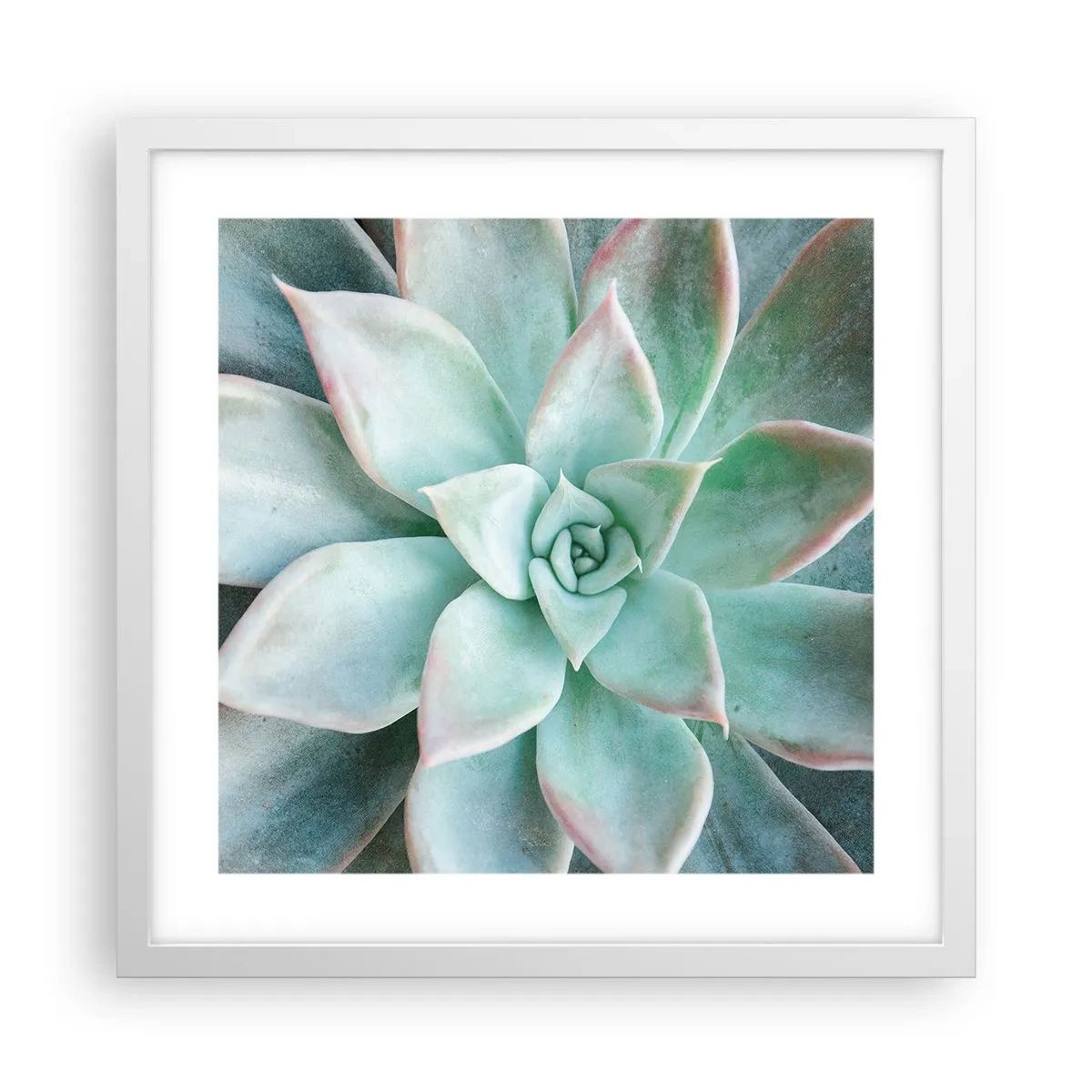 Plakat w białej ramie - Serce pustyni - 40x40 cm