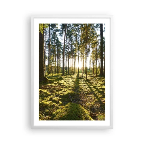 Plakat w białej ramie - …Za siedmioma lasami - 50x70 cm
