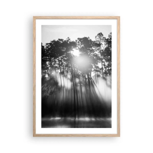 Plakat w ramie jasny dąb - Niepowstrzymane słońce - 50x70 cm
