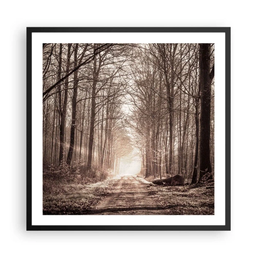 Plakat w czarnej ramie - Leśna katedra - 60x60 cm