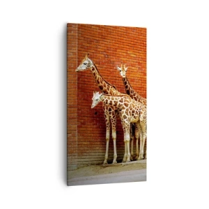 Obraz na płótnie - Widzicie jakąś akację? - 55x100 cm