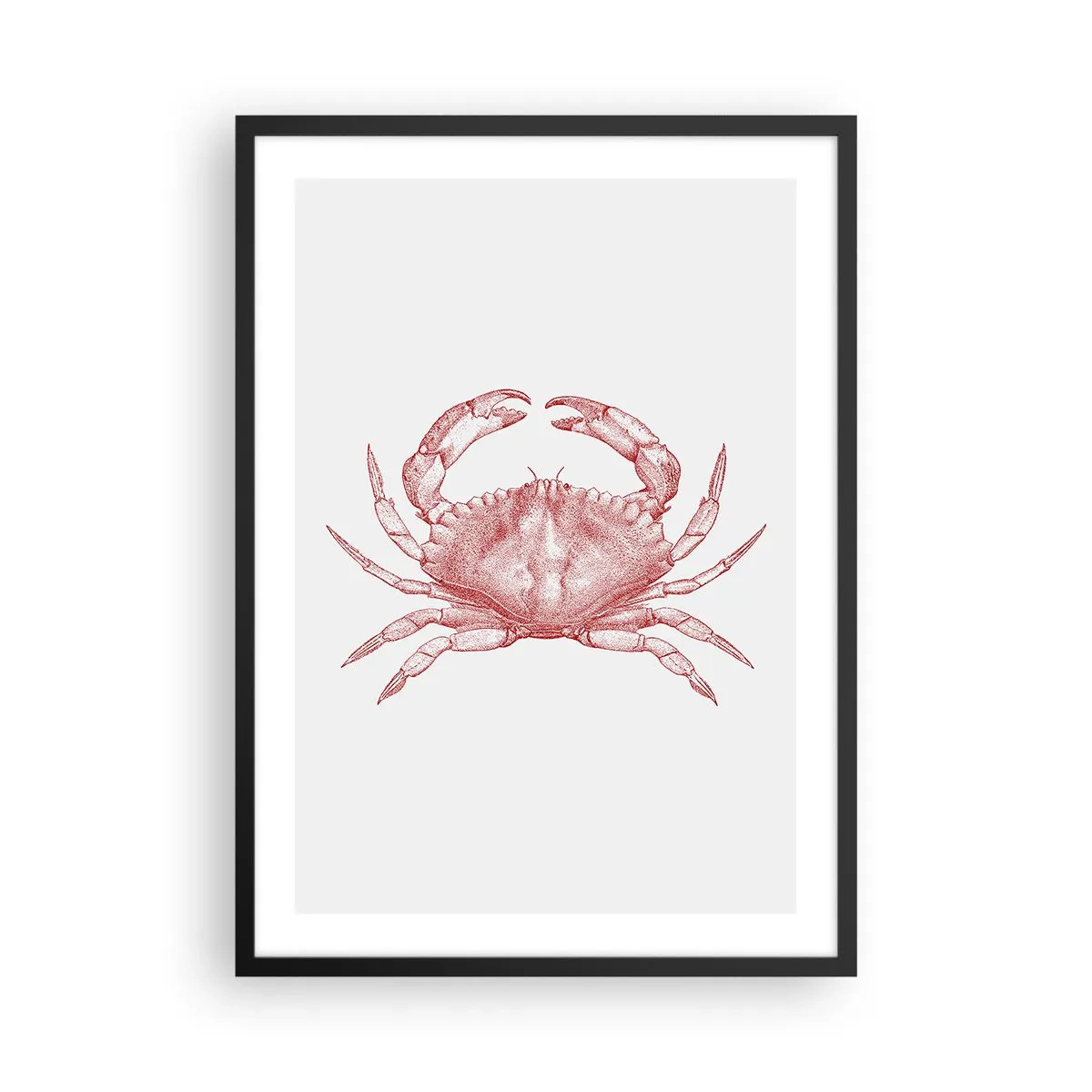 Plakat w czarnej ramie - Rysunek kraba w stylu vintage na jasnym tle - 50x70cm - Krab nad kraby - Nowoczesna dekoracja ścienna do salonu i sypialni ARTTOR