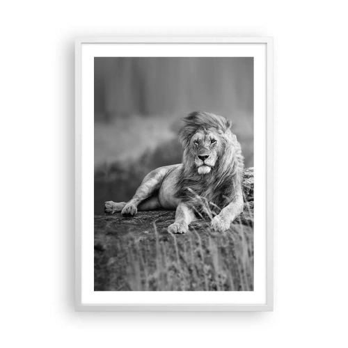 Plakat w białej ramie - Królewska sjesta - 50x70 cm