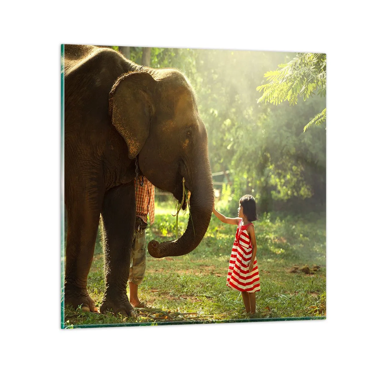 Obraz na szkle - Siła przyjaźni - 70x70 cm