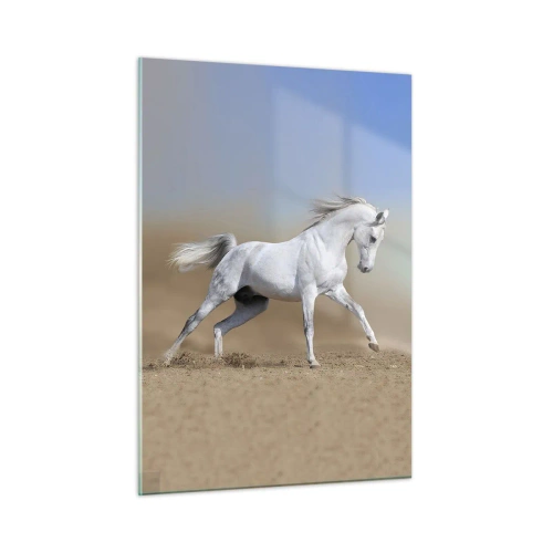 Obraz na szkle - Biały koń galopujący po piaszczystym podłożu - 50x70cm - Najpiękniejsza arabska baśń - Nowoczesna dekoracja ścienna do salonu, kuchni i sypialni ARTTOR
