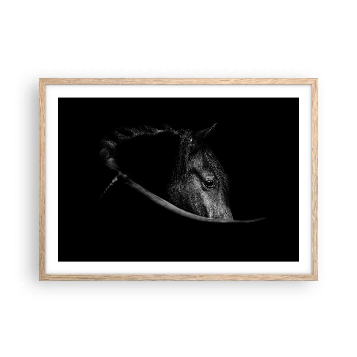 Plakat w ramie jasny dąb - Czarny książę - 70x50 cm