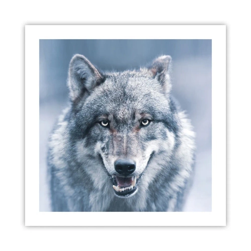 Plakat - Podejmiesz wyzwanie? - 50x50 cm