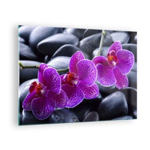Obraz na szkle - Fioletowe orchidee na tle gładkich kamieni - 70x50cm - Kamienie pojaśniały z zachwytu - Nowoczesna dekoracja ścienna do salonu i sypialni ARTTOR
