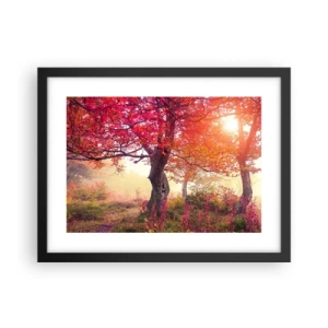 Plakat w czarnej ramie - Szał rozkwitu - 40x30 cm