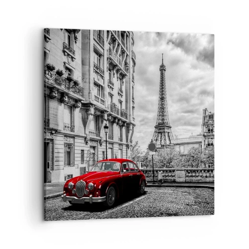 Obraz na płótnie - Drapieżnik w mieście - 50x50 cm