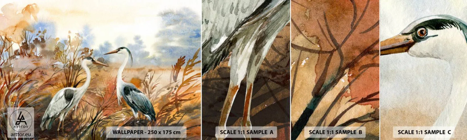 Fototapeta Próbka Samoprzylepna Deluxe Sticker - Dokąd jesienią? - Żuraw, Ptaki, Natura - 100x30 cm