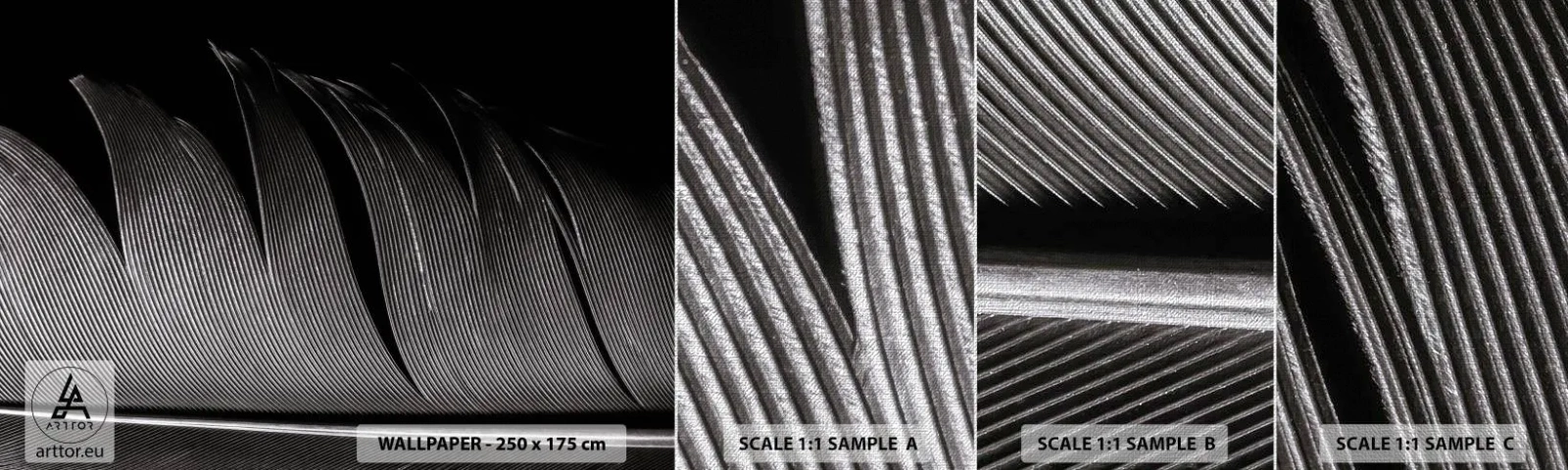 Fototapeta Próbka Premium Canvas - Pióro – cudowna konstrukcja - Pióro, Minimalizm, Lekkość - 100x30 cm