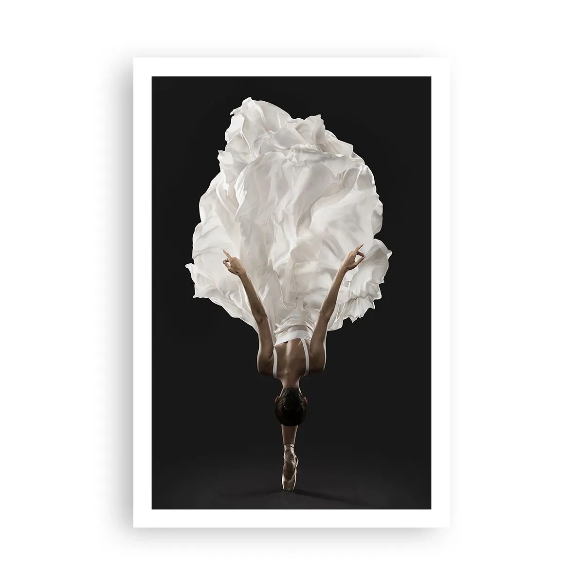 Plakat - Niezwykłe pas - 61x91 cm