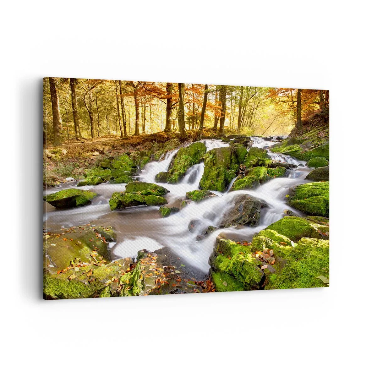 Obraz na płótnie - Zalesiony krajobraz z wodospadem otoczonym mchem - 100x70cm - Bystro przez jesienny las - Nowoczesna dekoracja ścienna do salonu, kuchni i sypialni ARTTOR