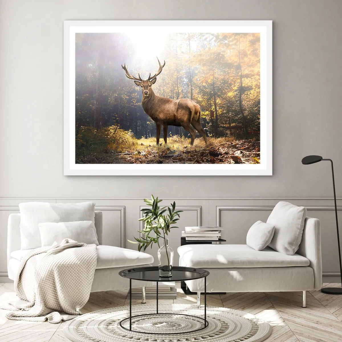 Plakat w białej ramie - W pełnym majestacie - 70x50 cm