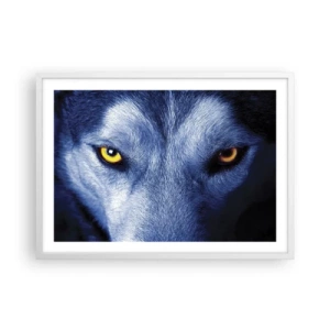 Plakat w białej ramie - Hipnotyzujące spojrzenie - 70x50 cm