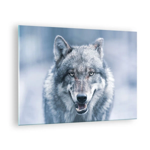 Obraz na szkle - Wilk o przenikliwym spojrzeniu na tle śnieżnego lasu - 70x50cm - Podejmiesz wyzwanie? - Nowoczesna dekoracja ścienna do salonu i sypialni ARTTOR