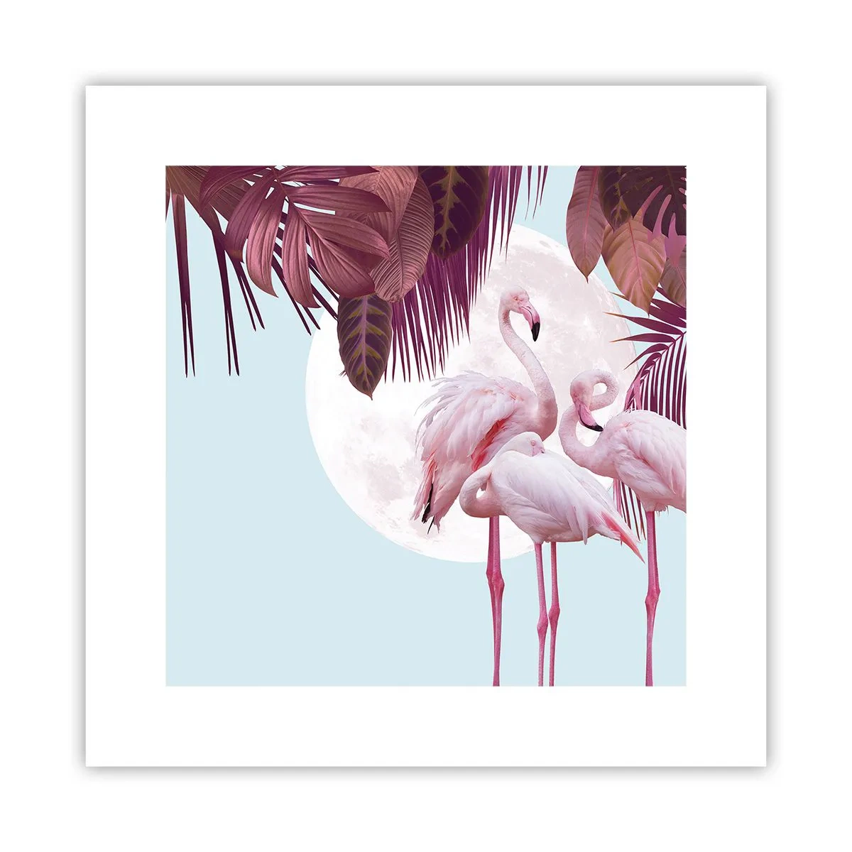 Plakat - Trzy ptasie gracje - 30x30 cm