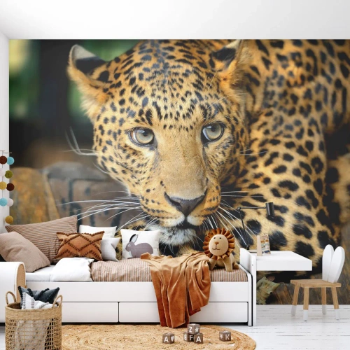 Fototapeta Premium Sand - Leopard odpoczywający na drewnianym konarze w dżungli - 100x70cm - Nie bój się, podejdź - Nowoczesna dekoracja ścienna do salonu, kuchni i sypialni ARTTOR