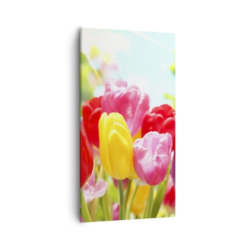 Obraz na płótnie - To my, kolory maja! - 55x100 cm