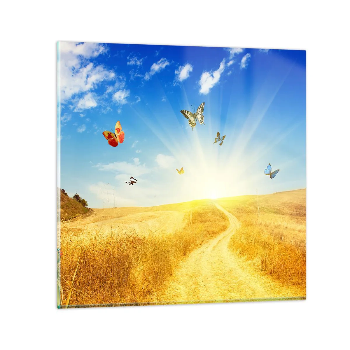 Obraz na szkle - I jak tu nie kochać lata? - 50x50 cm