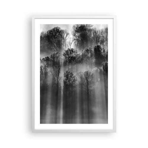Plakat w białej ramie - W strumieniach światła - 50x70 cm