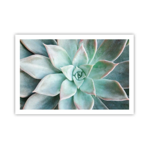 Plakat - Serce pustyni - 91x61 cm