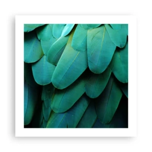 Plakat - Precyzja papuziej natury - 50x50 cm