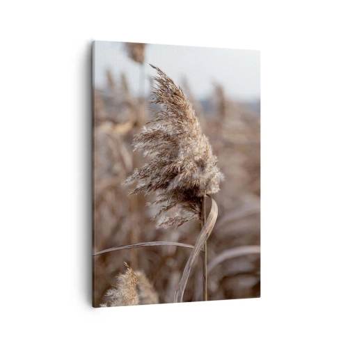 Obraz na płótnie - Zbliżenie na pojedynczą trzcinę na tle pola suchych traw - 50x70cm - Czas odlecieć z wiatrem - Nowoczesna dekoracja ścienna do salonu, kuchni i sypialni ARTTOR