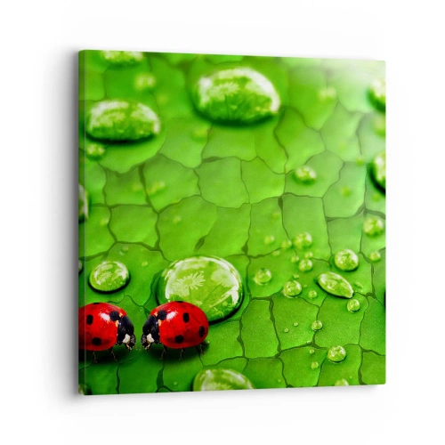 Obraz na płótnie - Spotkanie w zieleni - 30x30 cm