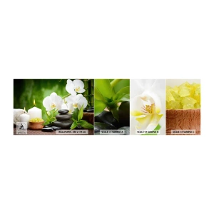 Fototapeta Próbka Standard Eco - Wonny, kwiatowy, delikatny dotyk - Kwiaty, Orchidea, Storczyk - 100x30 cm