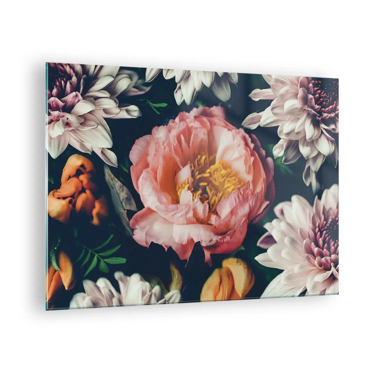 Obraz na szkle - Zbliżenie na piwonie i chryzantemy w pastelowych odcieniach - 70x50cm - Z barokowym przepychem - Nowoczesna dekoracja ścienna do salonu i sypialni ARTTOR