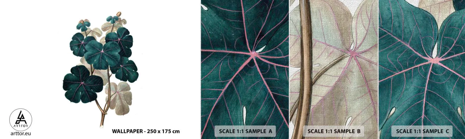 Fototapeta Próbka Premium Canvas - Ze starego zielnika - Roślina, Liście, Botanika - 100x30 cm