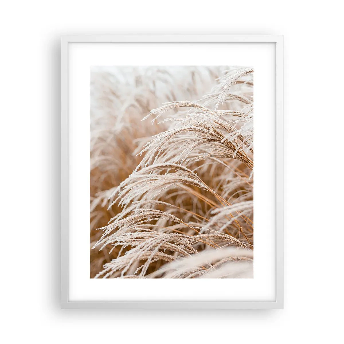 Plakat w białej ramie - Pokłon jesiennemu słońcu - 40x50 cm