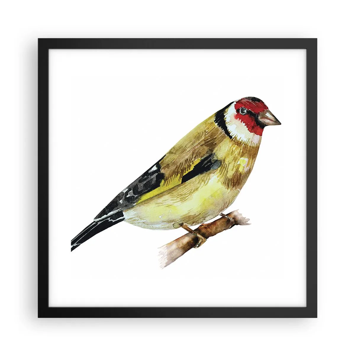 Plakat w czarnej ramie - Ptasi portret - 40x40 cm