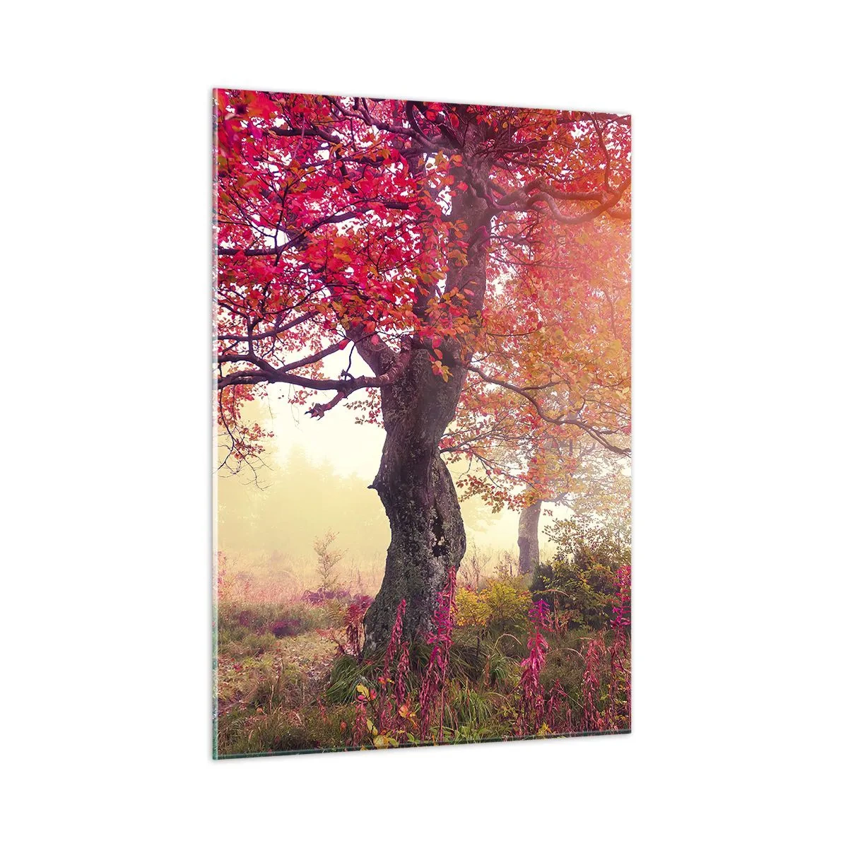 Obraz na szkle - Jesienny las z promieniami słońca o poranku - 50x70cm - Szał rozkwitu - Nowoczesna dekoracja ścienna do salonu, kuchni i sypialni ARTTOR